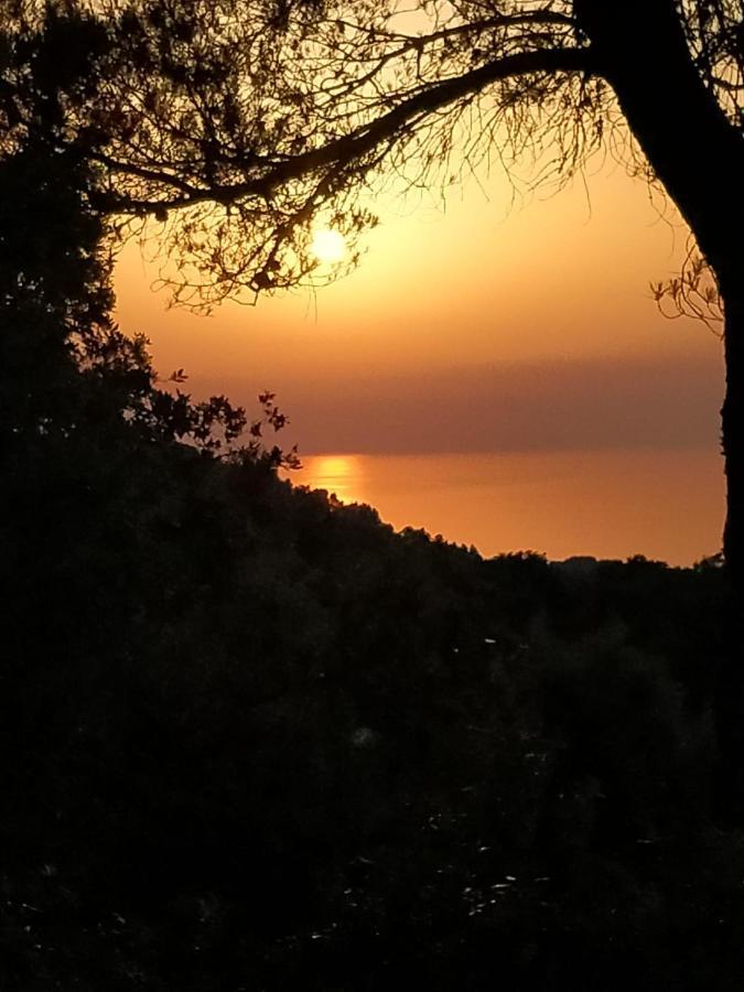 הוילה לוק Sa Talaia מראה חיצוני תמונה